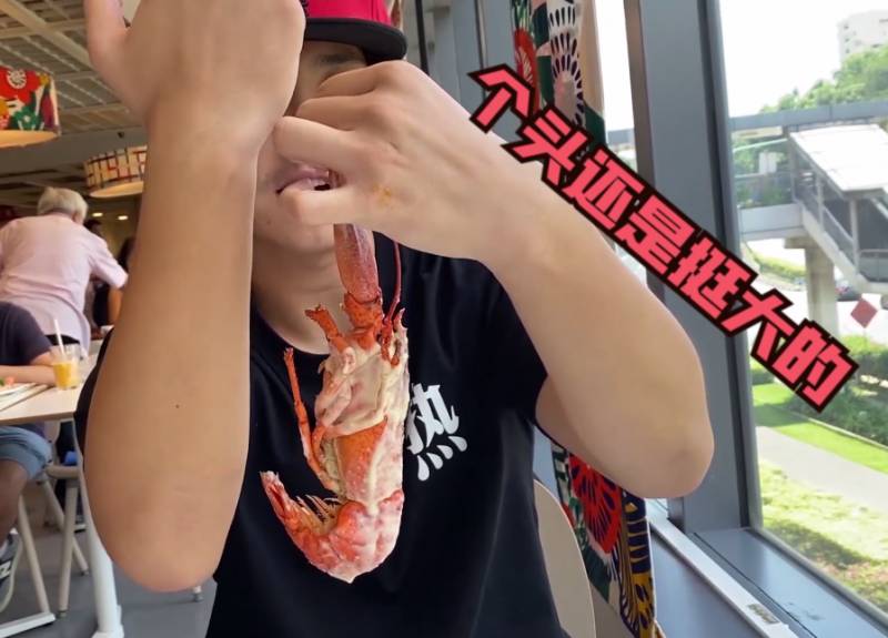 宜家新品太好吃了,咸蛋黄鸡翅、芝士龙虾超级火