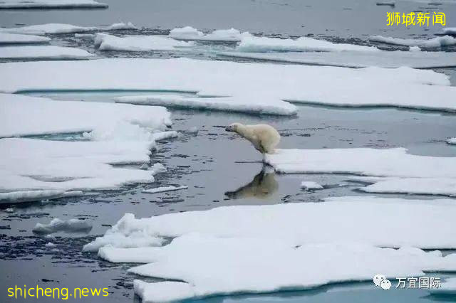 全球氣候變暖加劇！若持續上升1.5℃，新加坡濱海灣花園將被淹沒