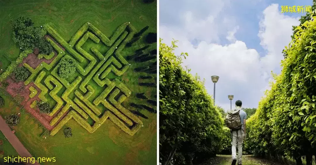 帶娃逛遍新加坡的森林和水庫，9條適合兒童徒步的路線