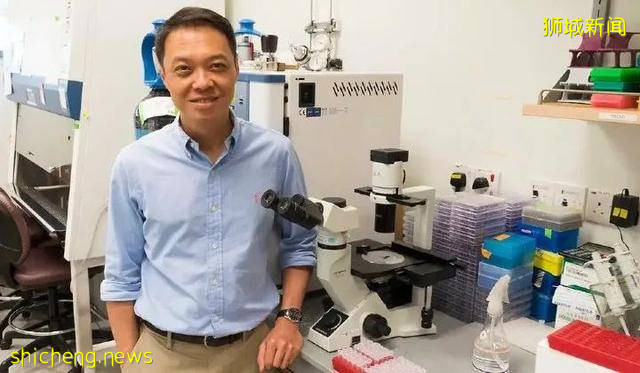 新加坡与疫情赛跑,最快10月完成疫苗测试