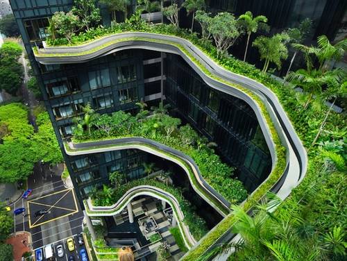 獅城DNA 從荒蕪到花園——新加坡的綠色逆襲之路