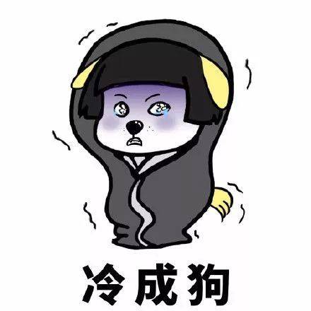 暖心的食物，带给流浪狗更多的温暖