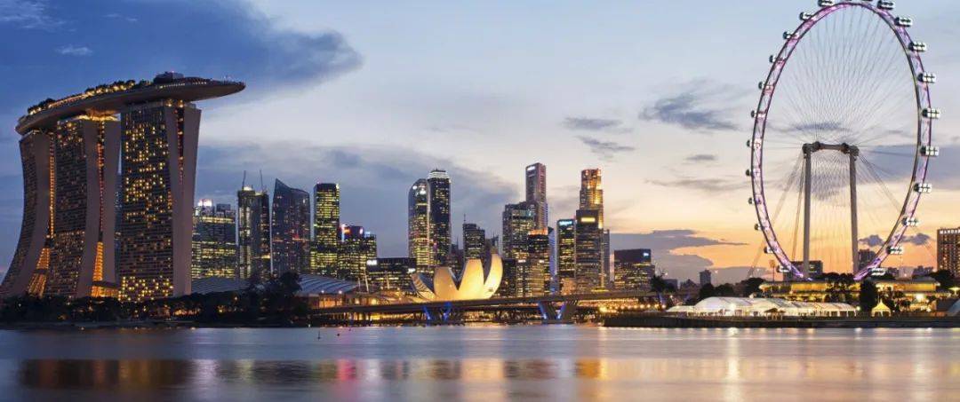 國內企業走向世界的完美跳板，2021年最詳細新加坡注冊公司攻略雙手奉上