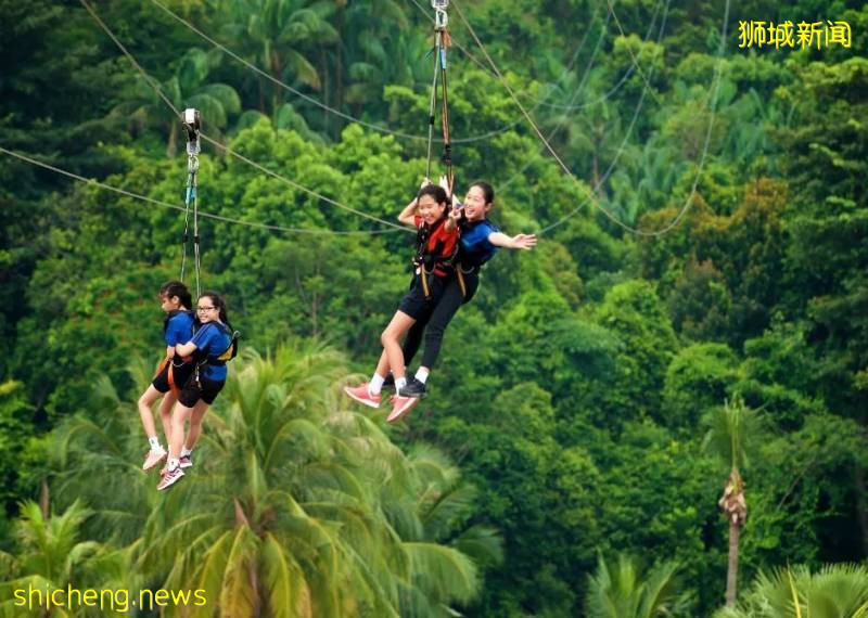 爲什麽選擇去新加坡讀小學!