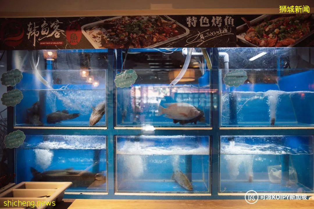 買一送一的烤魚和啤酒，拿來吧你