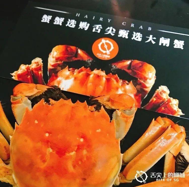 刚出湖边,又上舌尖的大闸蟹,狮城的你想吃大闸蟹?安排