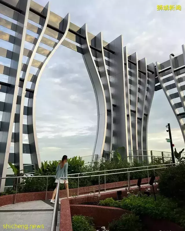 新加坡市中心新地标!盘点CapitaSpring拍照美食攻略🌿一起来探索这栋51层的建筑👀