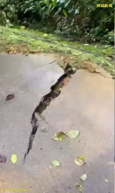 太嚇人!新加坡小桂林道路爆裂!疫情下該去哪裏散心