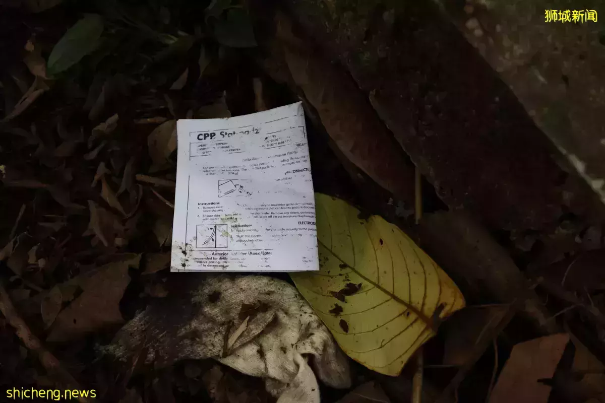 武吉知马路上段丛林内 单亲妈妈遭压死 砖墙重数十公斤