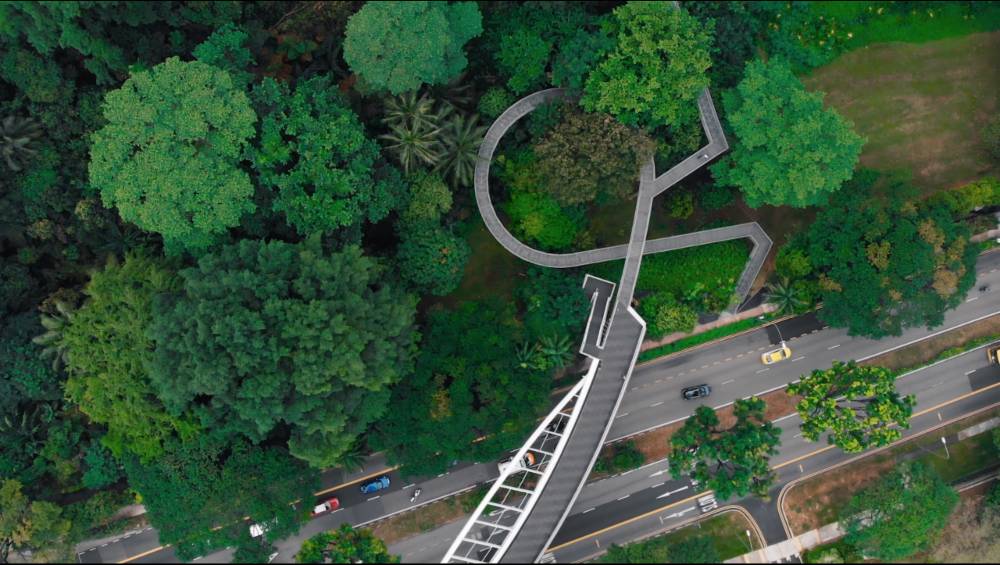 點擊領取迪士尼最新動畫電影《尋龍傳說》同款探險指南