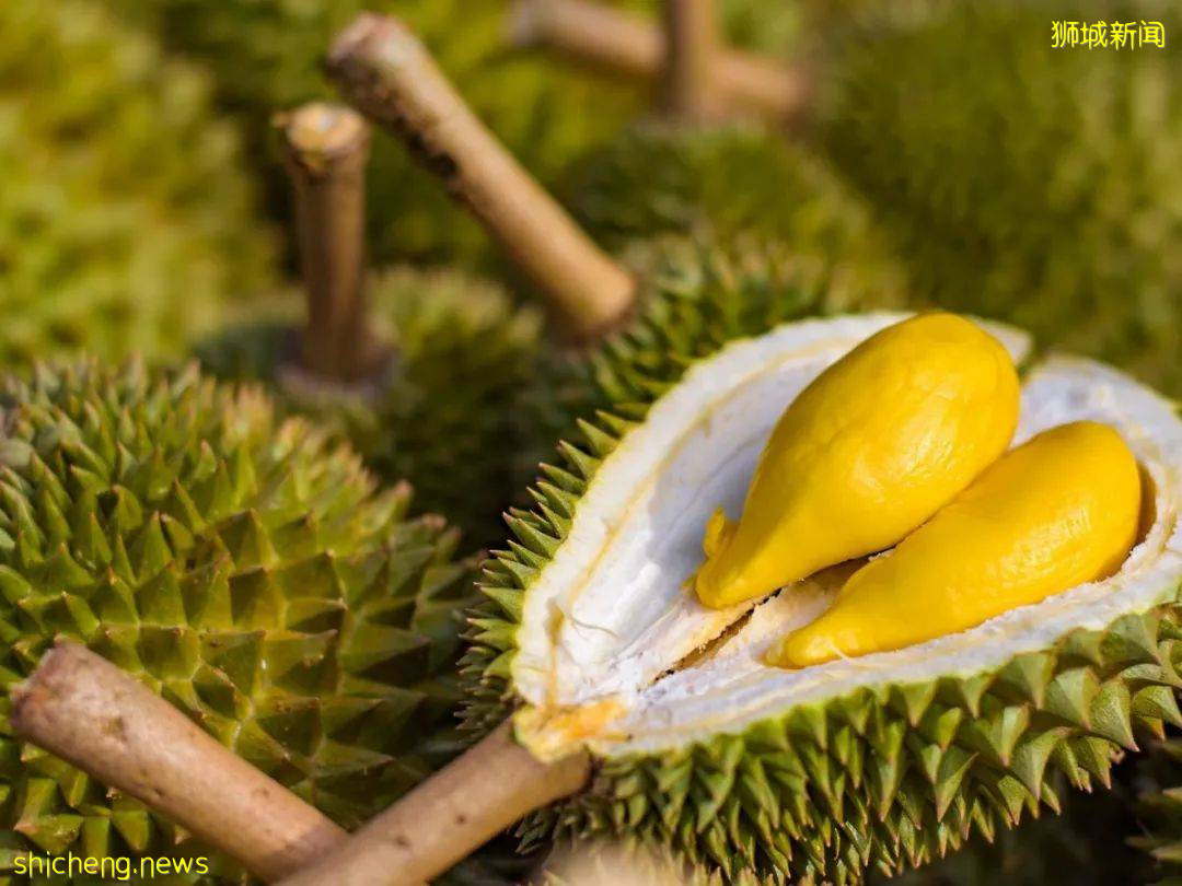 在新加坡花錢健身?不如賣榴梿鍛煉身體,這家店招募猛男