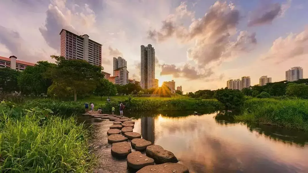 新加坡神奇路線圖，輕松穿梭各個公園，再也不怕迷路啦