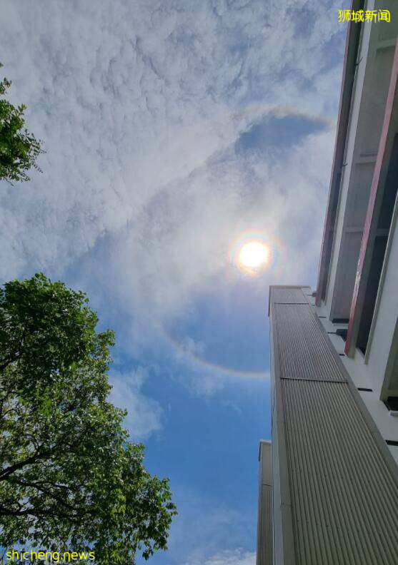 新加坡天降異象、美到犯規！網友大呼：滾蛋吧！病毒君！ .