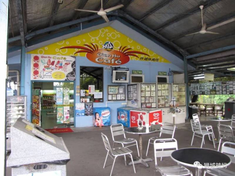 新加坡最大的漁場，35年曆史！免費賞魚，$6釣魚，還有魚療足浴