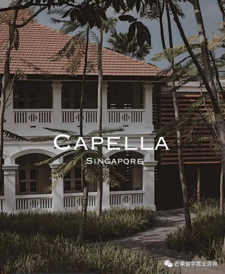 新加坡超人气民宿