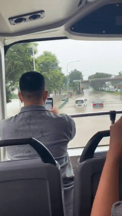 2020年,新加坡发生的11个奇葩小事儿