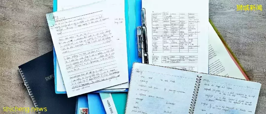 考雅思、讀研、生3娃、肚皮舞教練……中年老母親在新加坡的8年，活出了無限可能