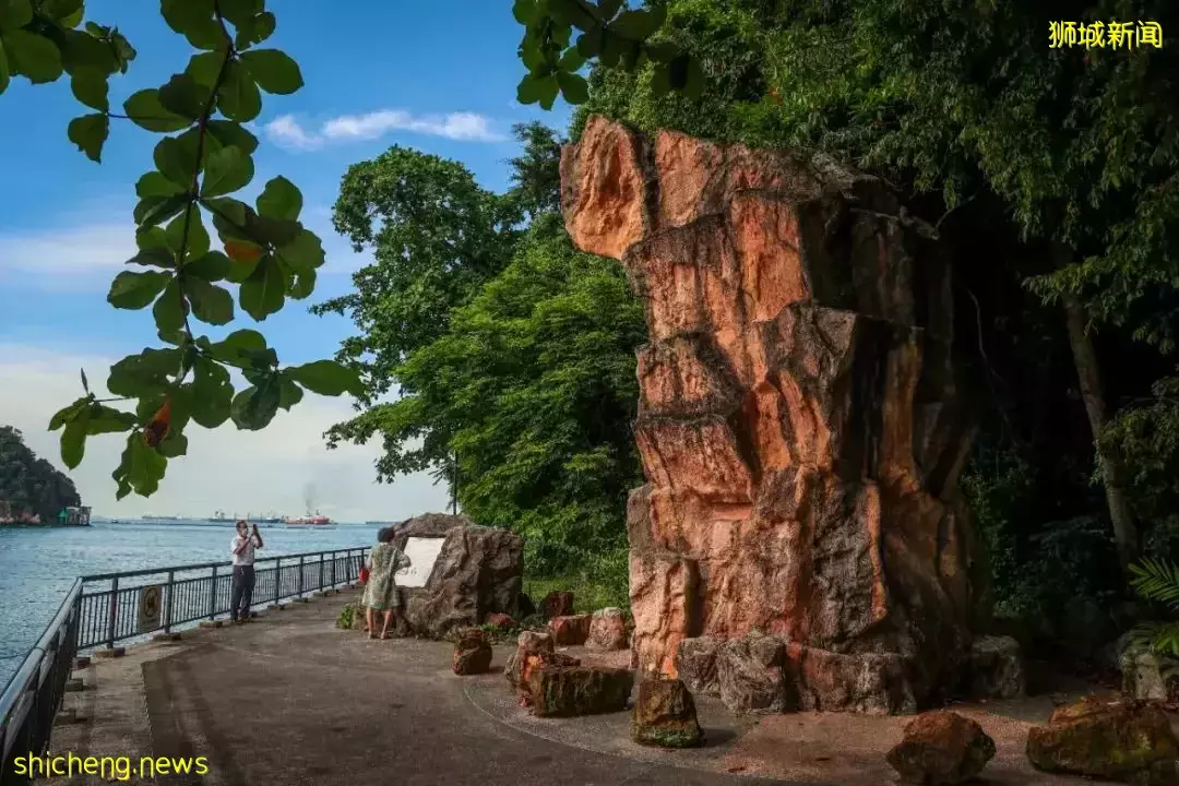 從新加坡市區至鄰裏,騎一趟時空交疊之旅