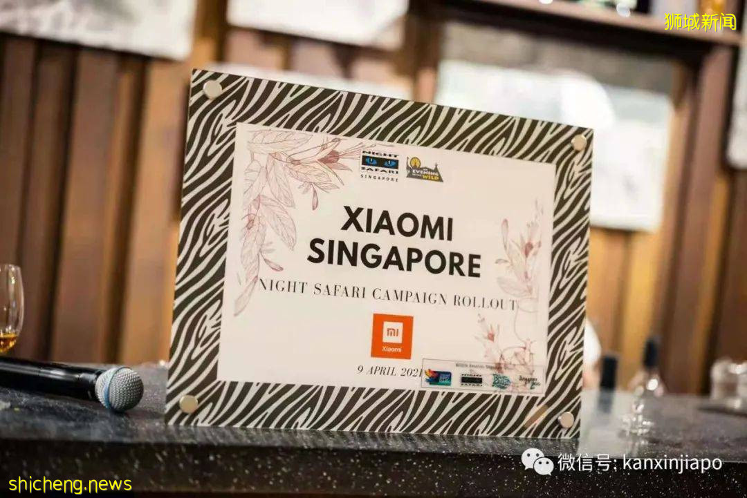 小米新加坡牵手Night Safari动物园网红大象,温情满满