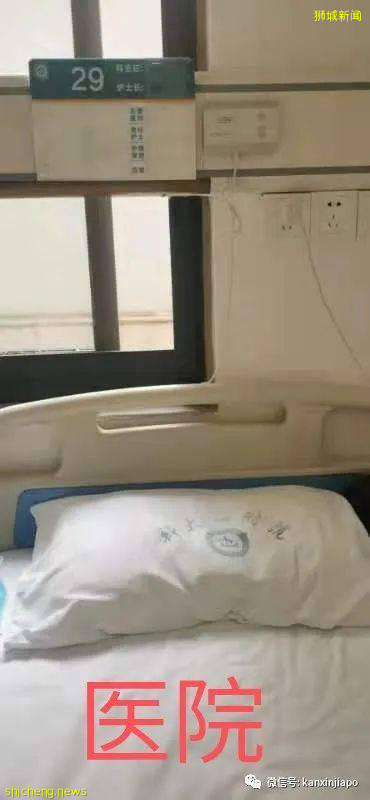 被中介坑惨了!中国小哥在新加坡干3天就走,回国却一波三折