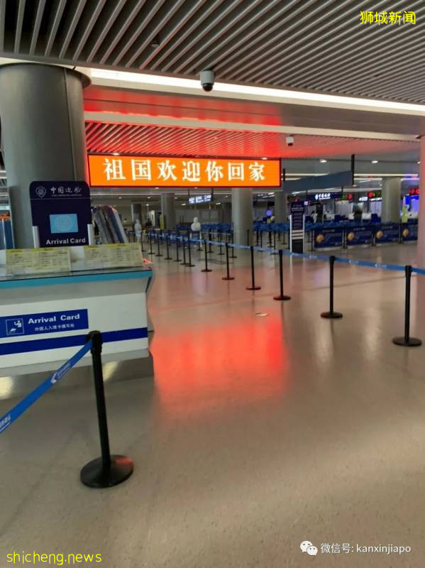 回家一趟真是太难了!新加坡飞南京全记录