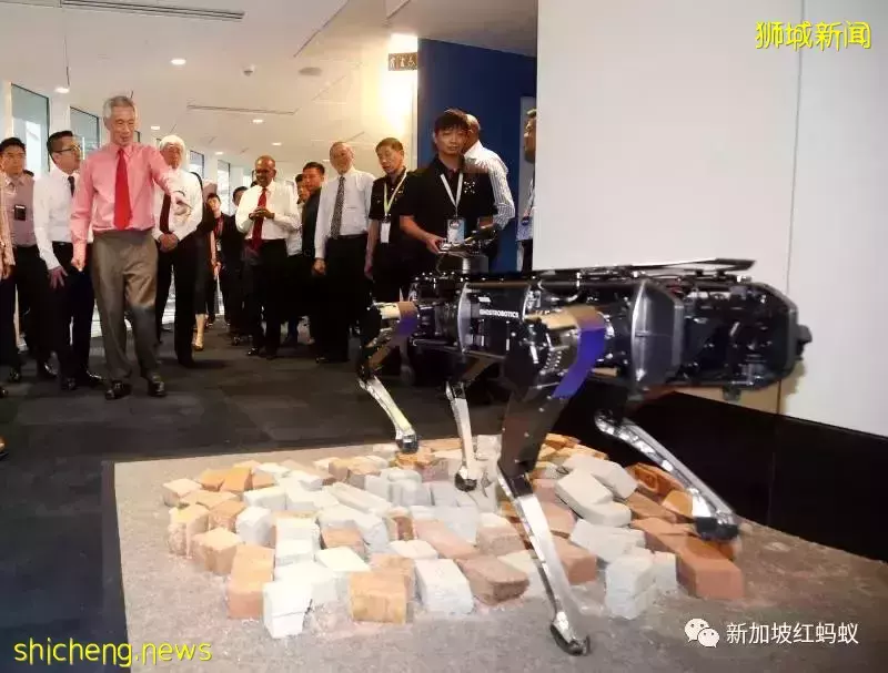 “小強”華麗轉身 新加坡工程師賦予新使命:到災難廢墟尋找生還者