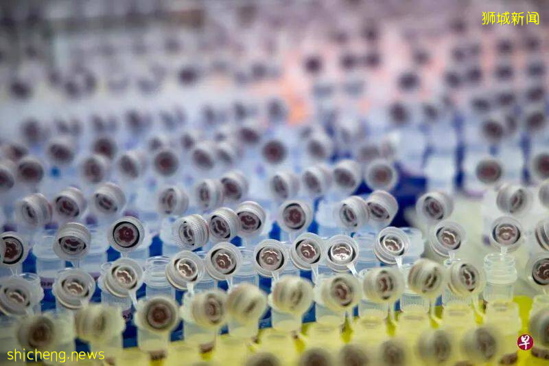 陈振声：新加坡经济要更快恢复取决于试剂盒及疫苗问世