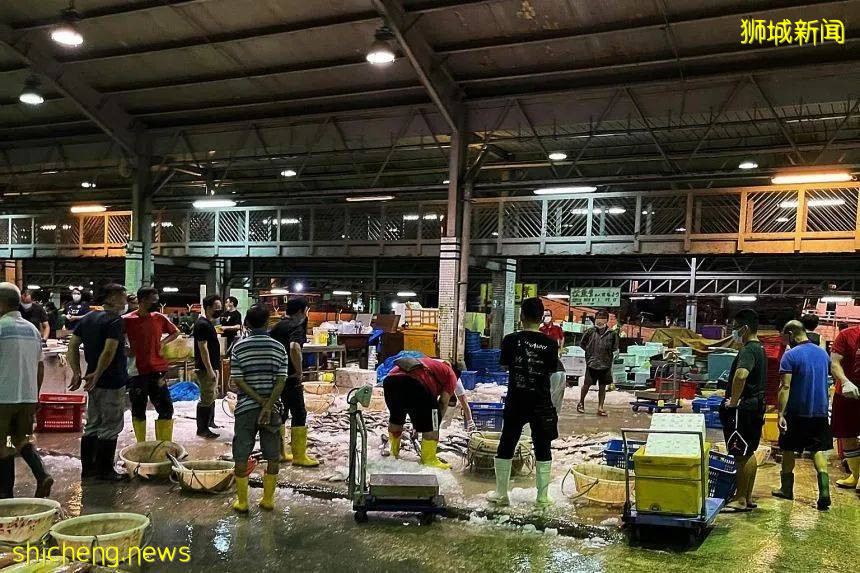 一夜激增10感染群，5所学校有确诊！新加坡部长：日增200或成常态，预计9月开放国际旅游