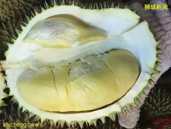 因爲減産,都漲價了!新加坡最火的11種榴梿價格表出爐