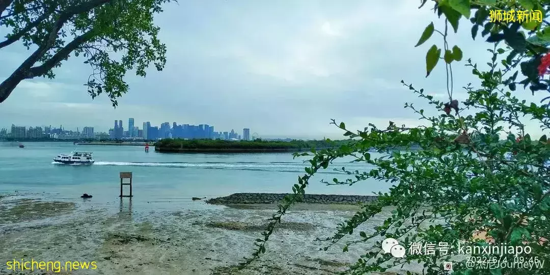 新加坡离岛攻略,半个多小时便能收获美景天堂