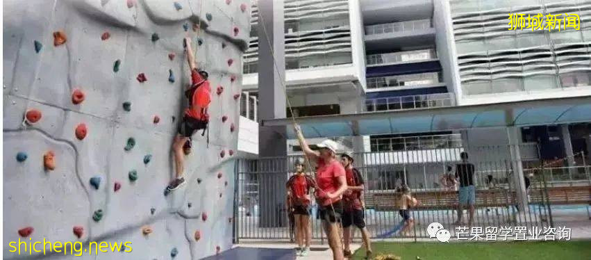 新加坡这两所超人气国际学校,为何独受明星、高管家长青睐