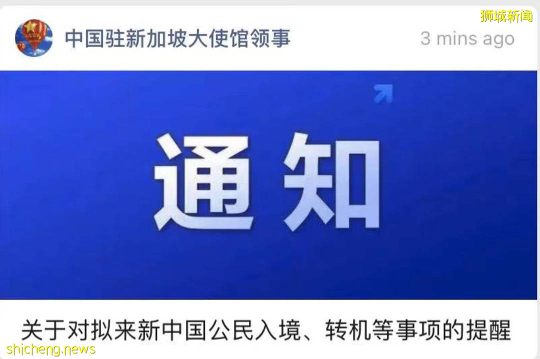 新幣跌破5年新低！現在新加坡飛各國旅遊都要多少錢？中國大使館發最新通知
