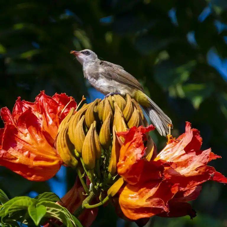 南洋理工大學，每一幀都很美