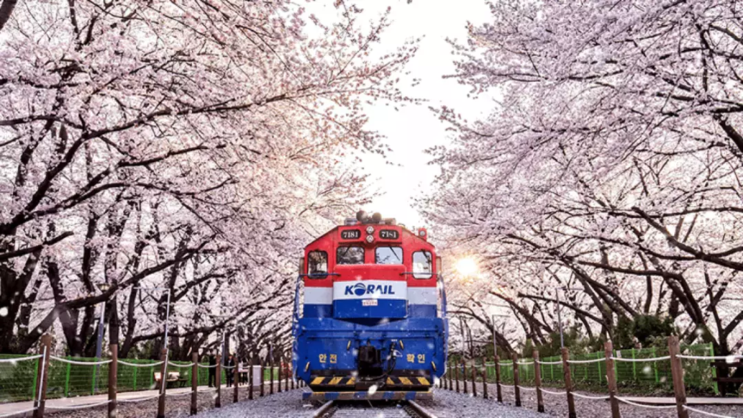芬蘭看極光、韓國賞櫻花、環遊歐洲……在新加坡請8天假換一場環球旅行