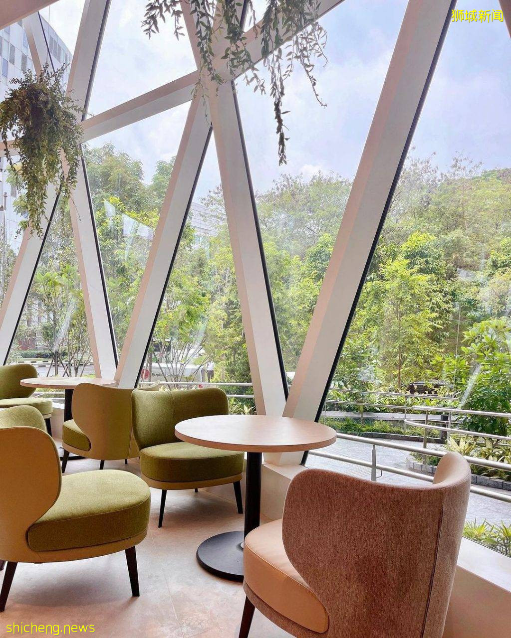 “Runes Cafe”玻璃房温室咖啡馆☀大片透明窗环绕、阳光倾泻而入,感受慵懒与宁静☕