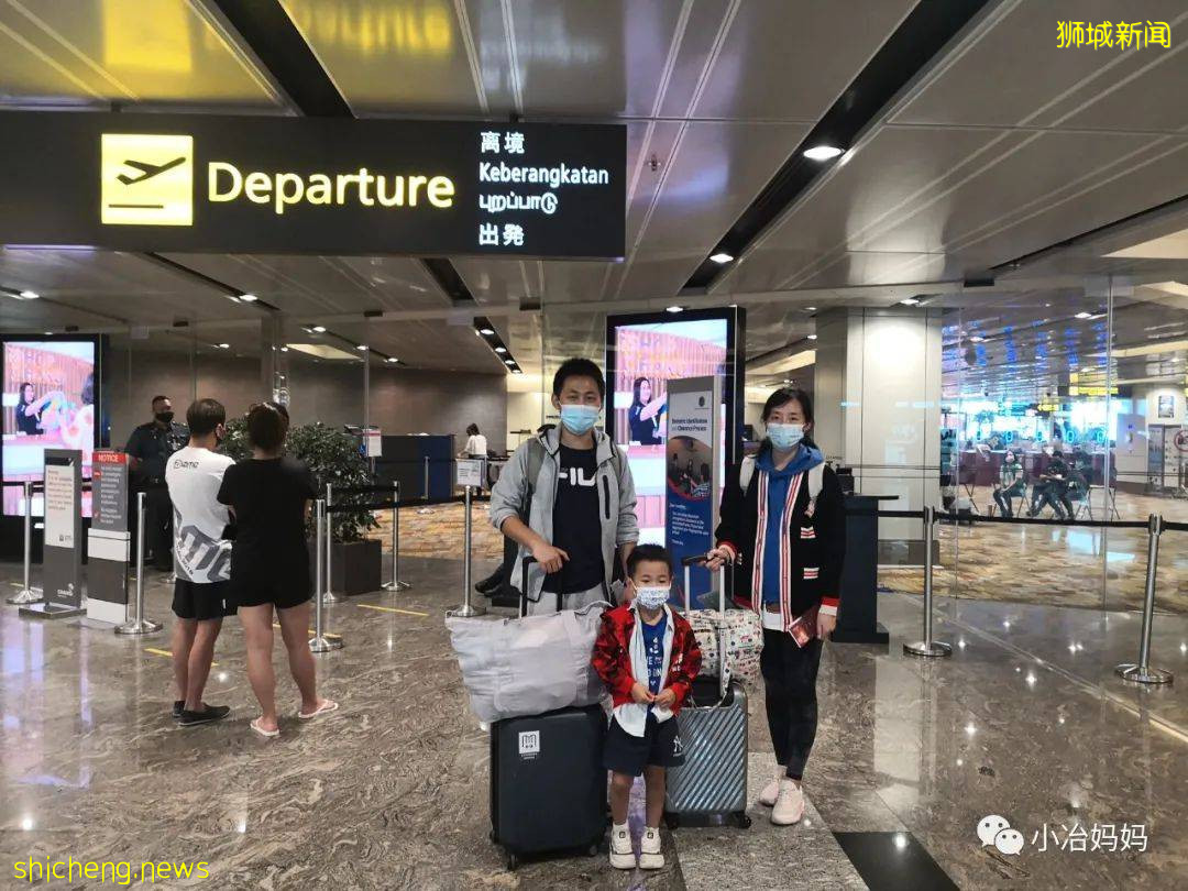 結束11年新加坡的生活!我懷孕帶著5歲的娃回了中國又移民澳洲!這瘋狂又神奇的旅程
