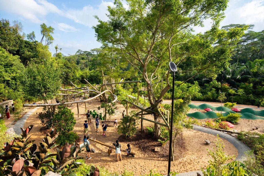 新加坡植物園3月最新兒童樂園,你肯定沒去過!16大遊玩攻略,走起
