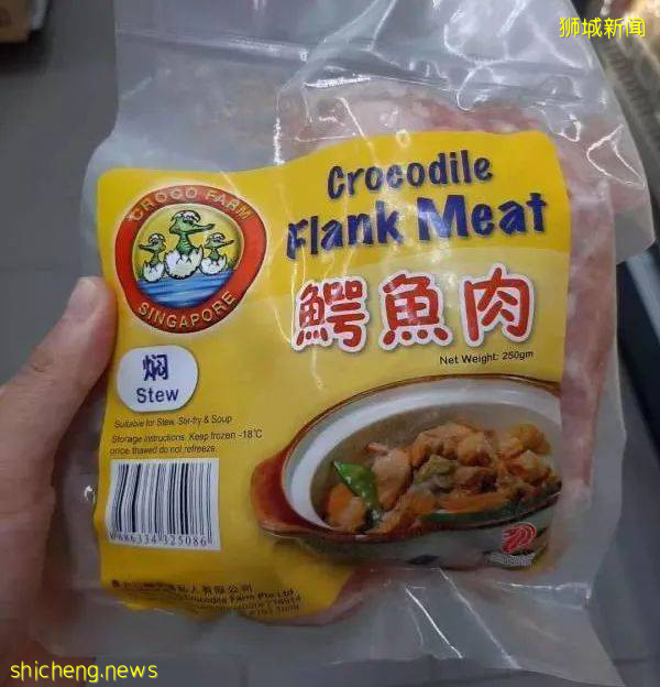 能让鳄鱼做噩梦的地方是新加坡，见孩子咳嗽鳄鱼吓得浑身颤抖