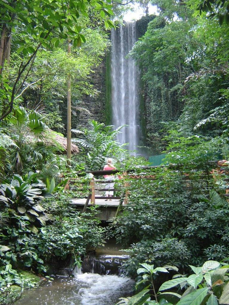 免費送票!帶倆娃嗨翻亞洲最大飛禽園,400多種5000多只鳥,一路驚喜不斷