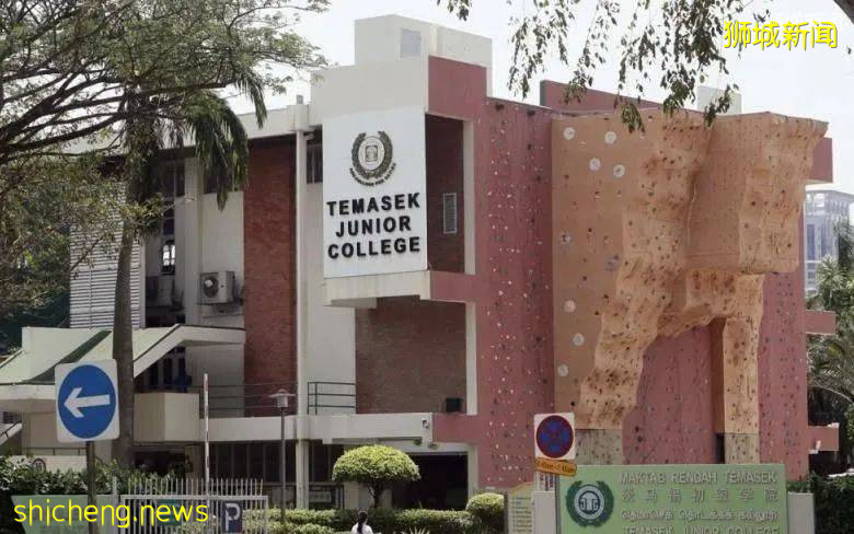 2022年最新 新加坡中小学和理工学院学费汇总