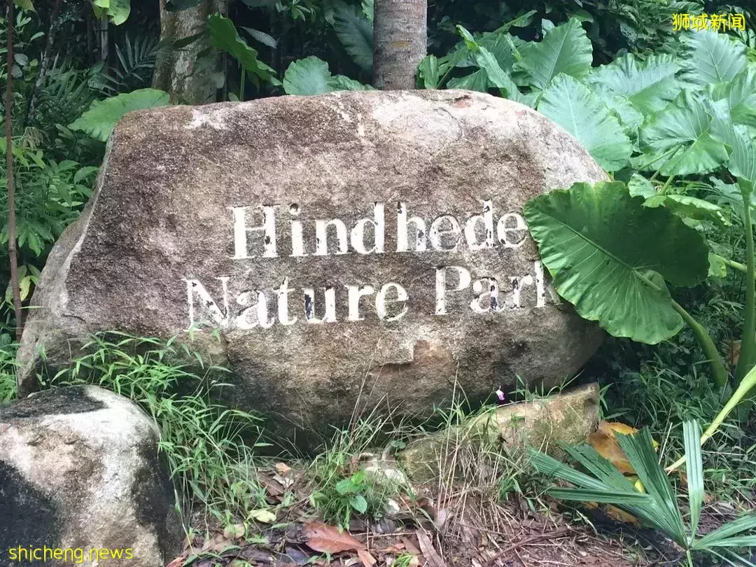 感受一下大自然 在新加坡，有哪一些适合野餐的风景名胜区