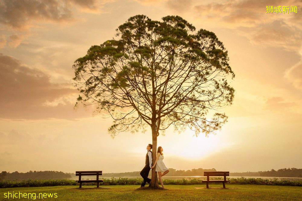 新加坡網紅樹@Upper Seletar Reservoir Park,對稱感美景,隨手一拍都是大片
