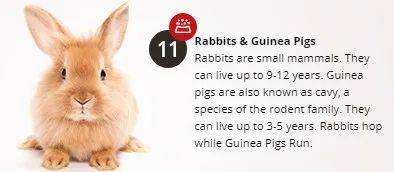 經營20年的新加坡“動物度假村”宣布結業，明年1月10日爲最後營業日期