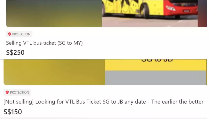 新马陆路VTL一张车票炒到250新币，黄牛如何猖狂吗