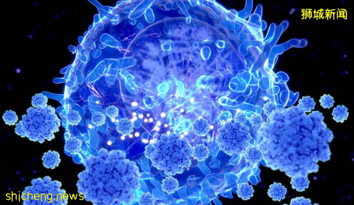 刷屏!上海迪士尼封园!李显龙总理:新加坡抗疫走了一半,或还会有20万人确诊