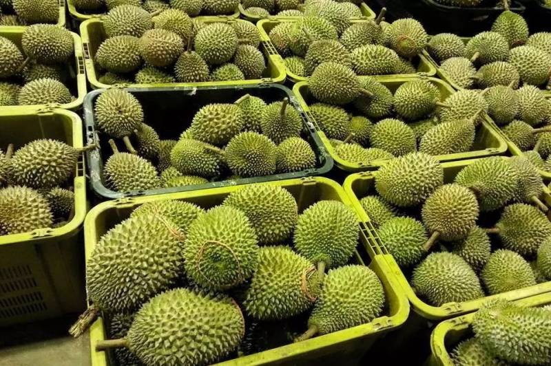 狮城热点丨除了疫情，还有航展，生活还要继续