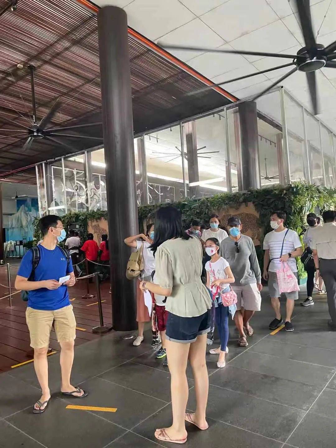 擠！爆！了！2020在家待了一整年，年底了，全新加坡的人都上街排隊