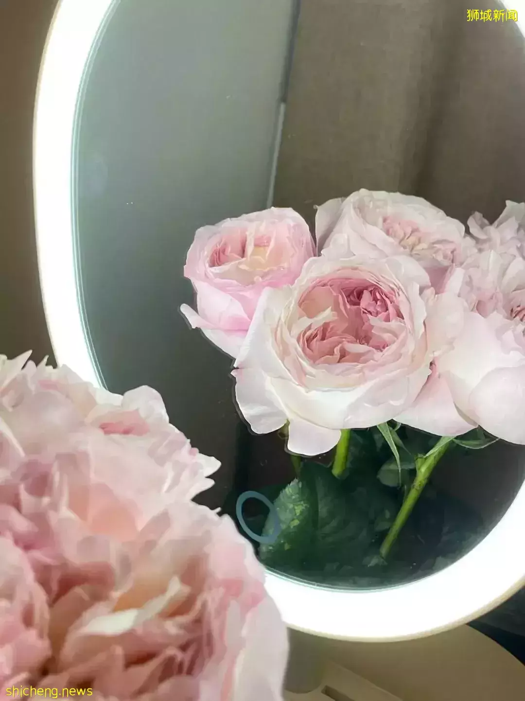 鮮花在熱帶也能養1個月？資深花友新加坡買花、養護大揭秘