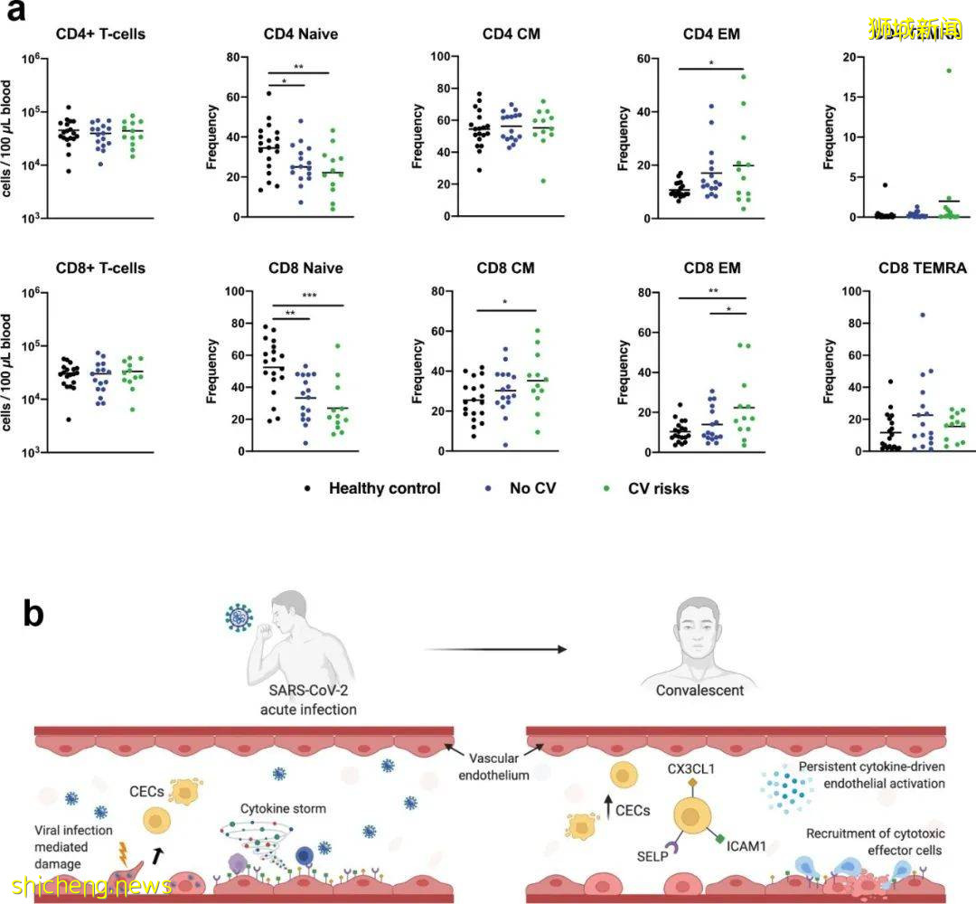 NTU学者研究发现心血管疾病患者接种新冠疫苗会有血栓风险