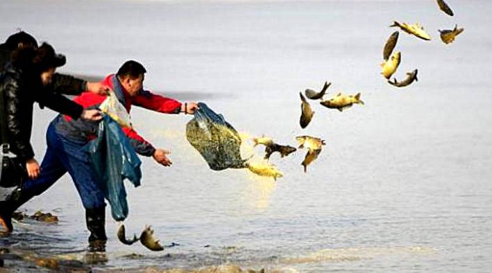 原來做這些事都犯法？盤點新加坡七大奇奇怪怪的禁令